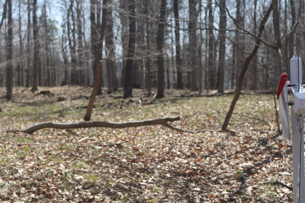 Crystal View Lake Township, MI 49617