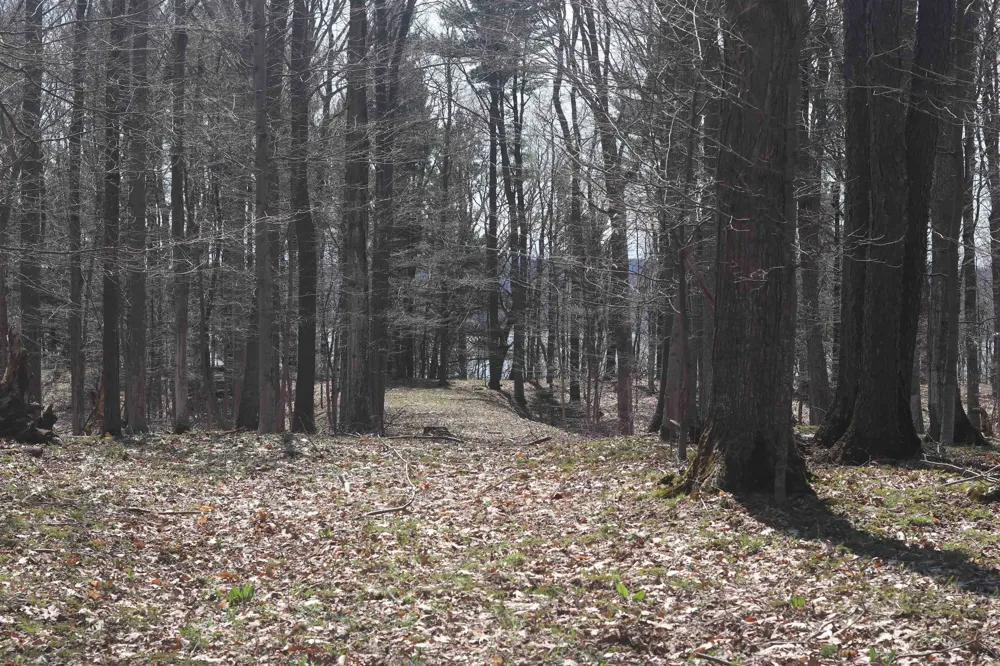 Crystal View Lake Township, MI 49617