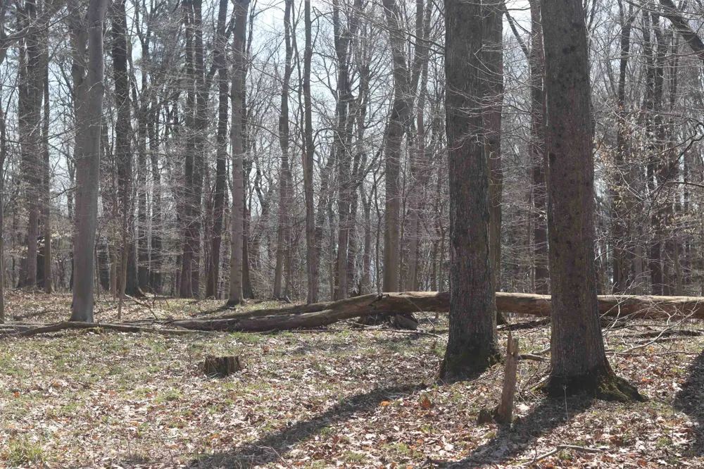 Crystal View Lake Township, MI 49617