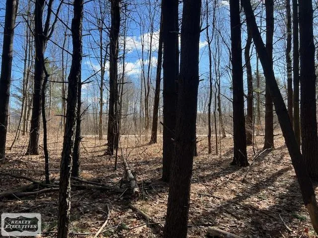 Burton Road Mussey Township, MI 48014
