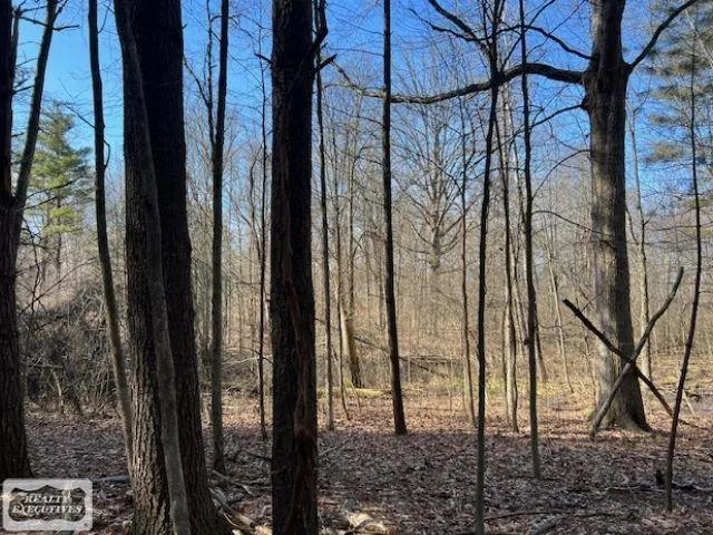 Burton Road Mussey Township, MI 48014