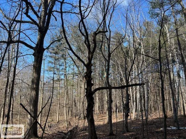 Burton Road Mussey Township, MI 48014