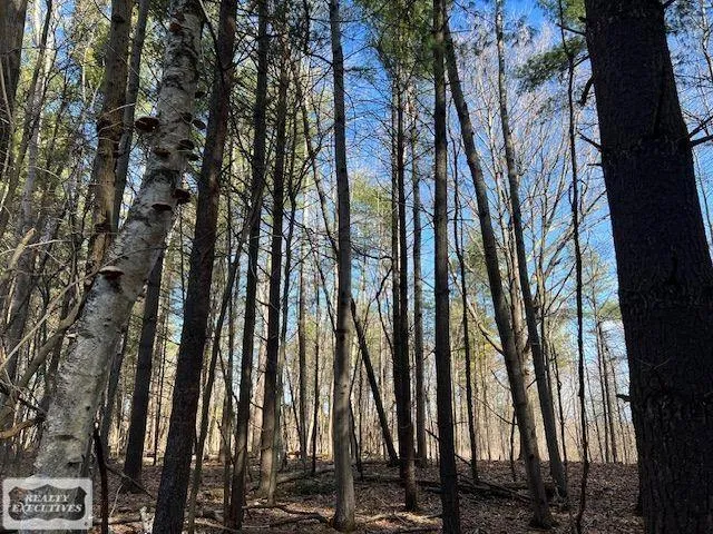 Burton Road Mussey Township, MI 48014