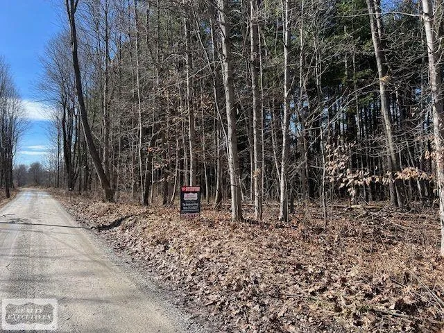 Burton Road Mussey Township, MI 48014