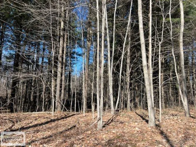 Burton Road Mussey Township, MI 48014