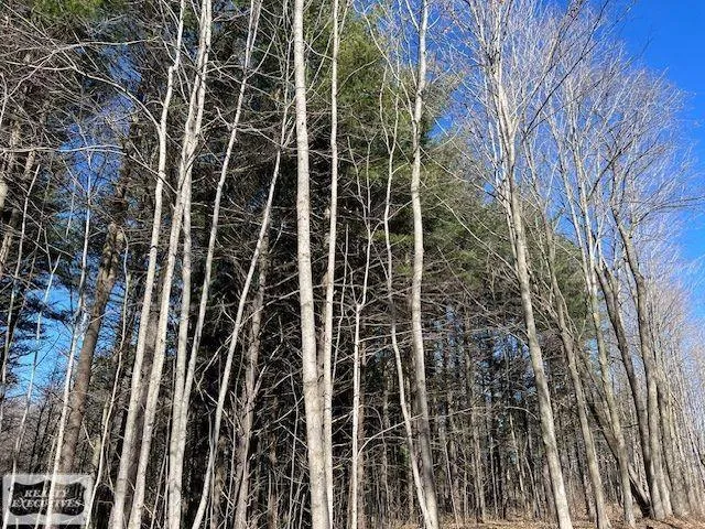 Burton Road Mussey Township, MI 48014