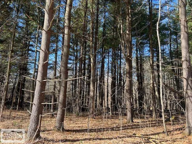 Burton Road Mussey Township, MI 48014