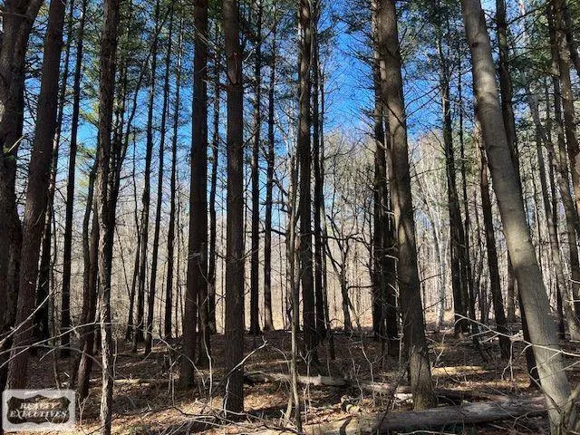 Burton Road Mussey Township, MI 48014