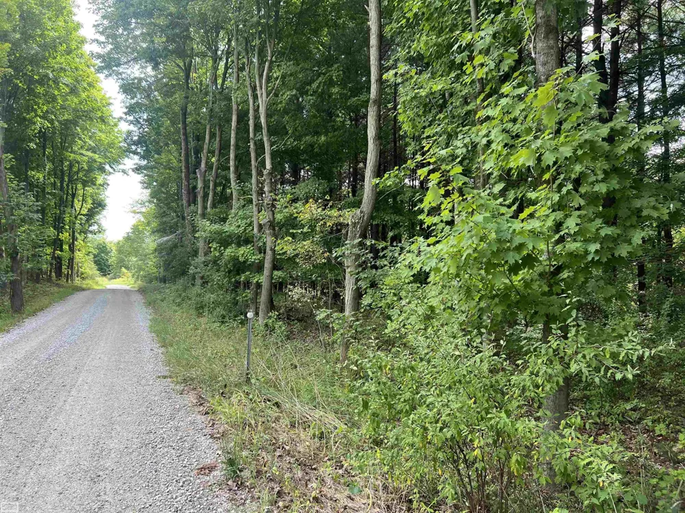 Burton Road Mussey Township, MI 48014