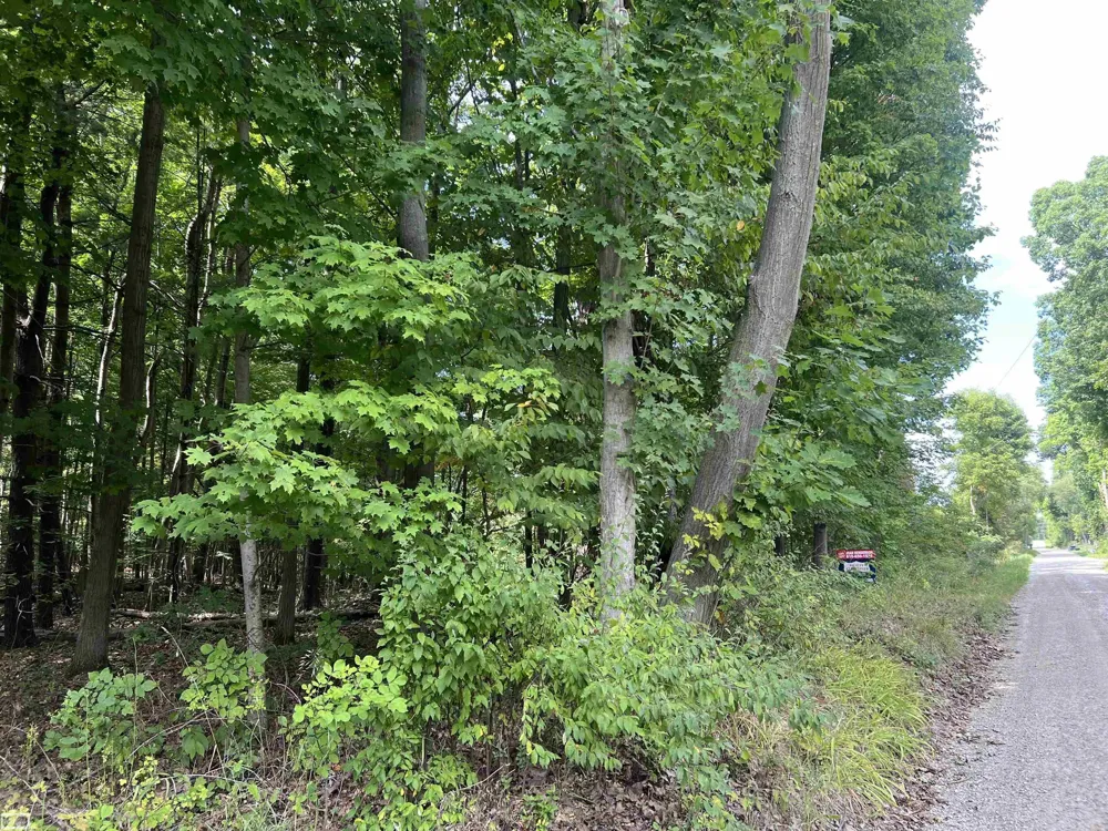 Burton Road Mussey Township, MI 48014