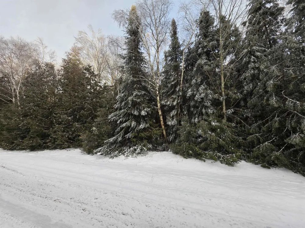 Cedarbrook Drive Oscoda Charter Township, MI 48750