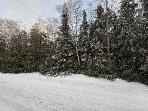 Cedarbrook Drive