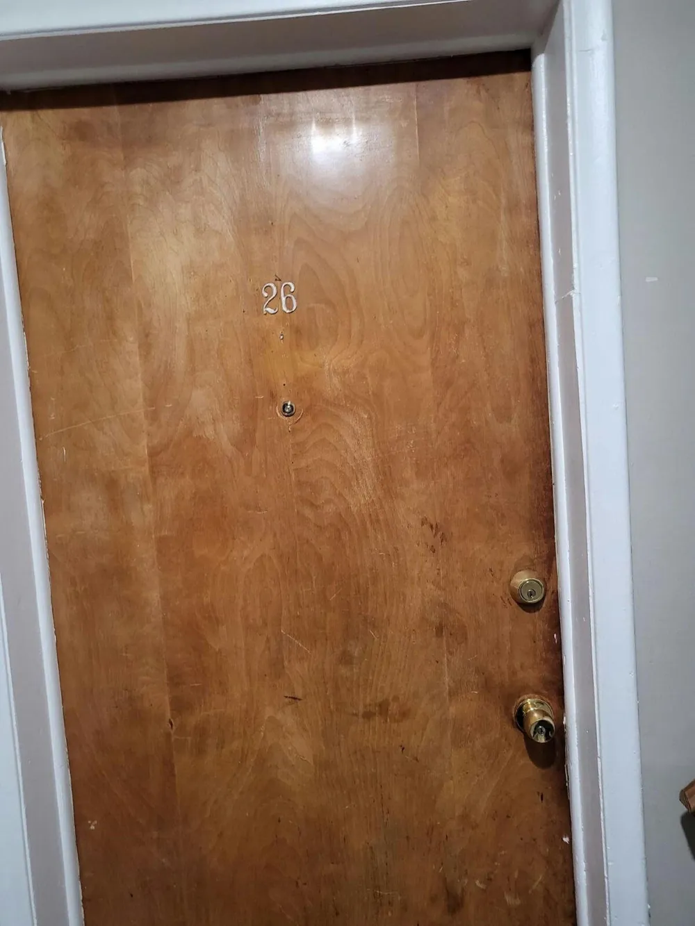 17288 Bentler Street #25 Detroit City, MI 48219