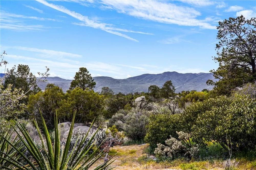 70089 Sonora Mountain Center, CA 92561