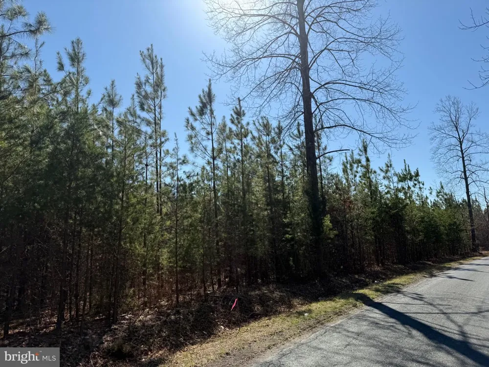 3 MAPLE BRIDGE RD Dillwyn, VA 23936