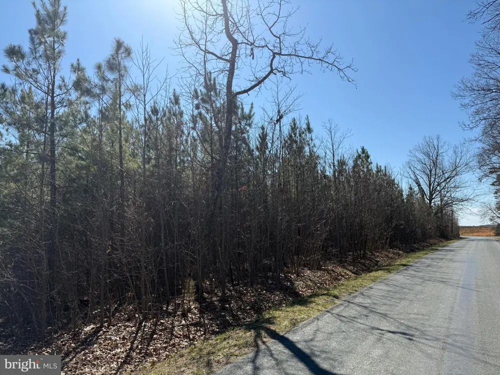 3 MAPLE BRIDGE RD Dillwyn, VA 23936