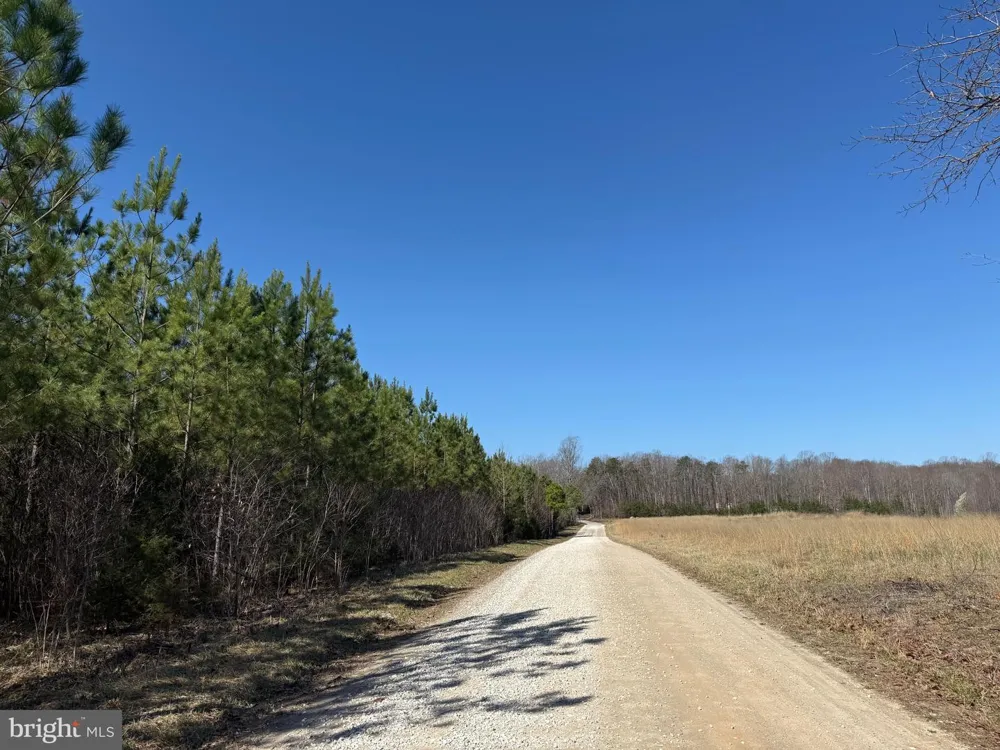 3 MAPLE BRIDGE RD Dillwyn, VA 23936
