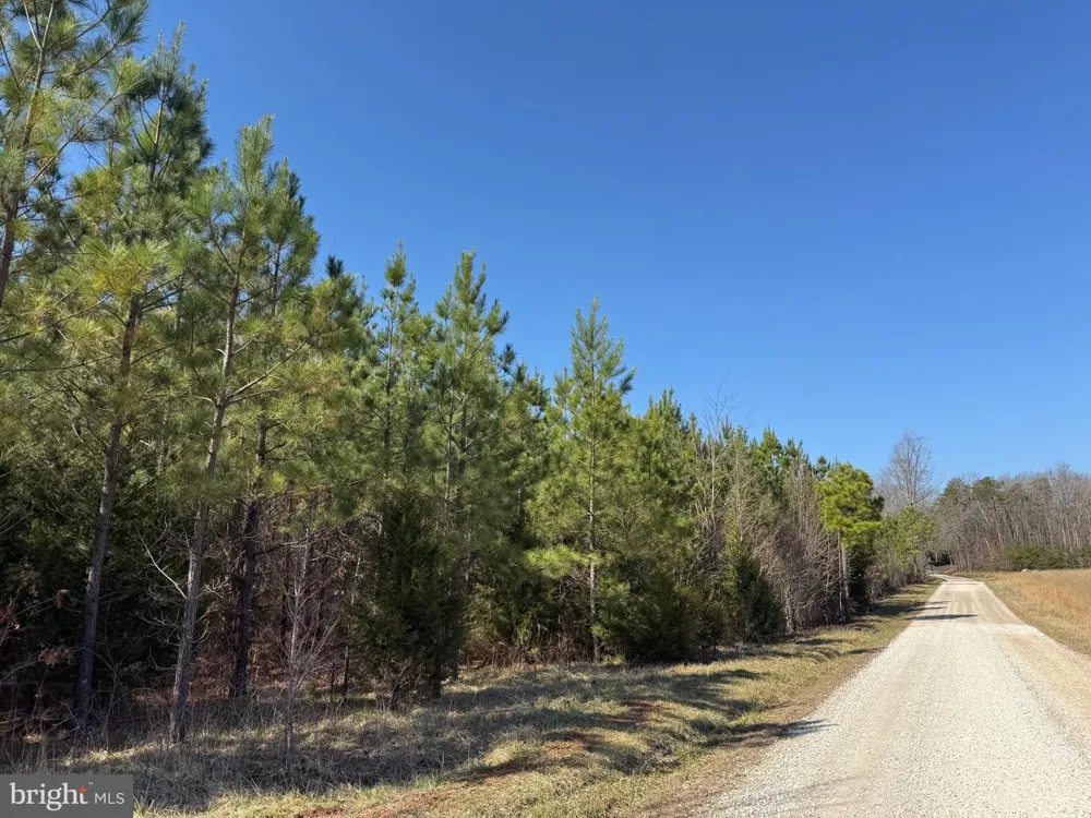 3 MAPLE BRIDGE RD Dillwyn, VA 23936