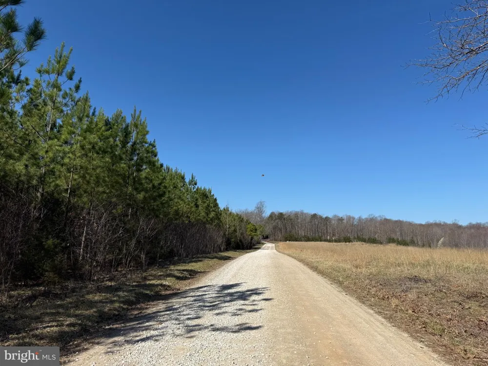 3 MAPLE BRIDGE RD Dillwyn, VA 23936