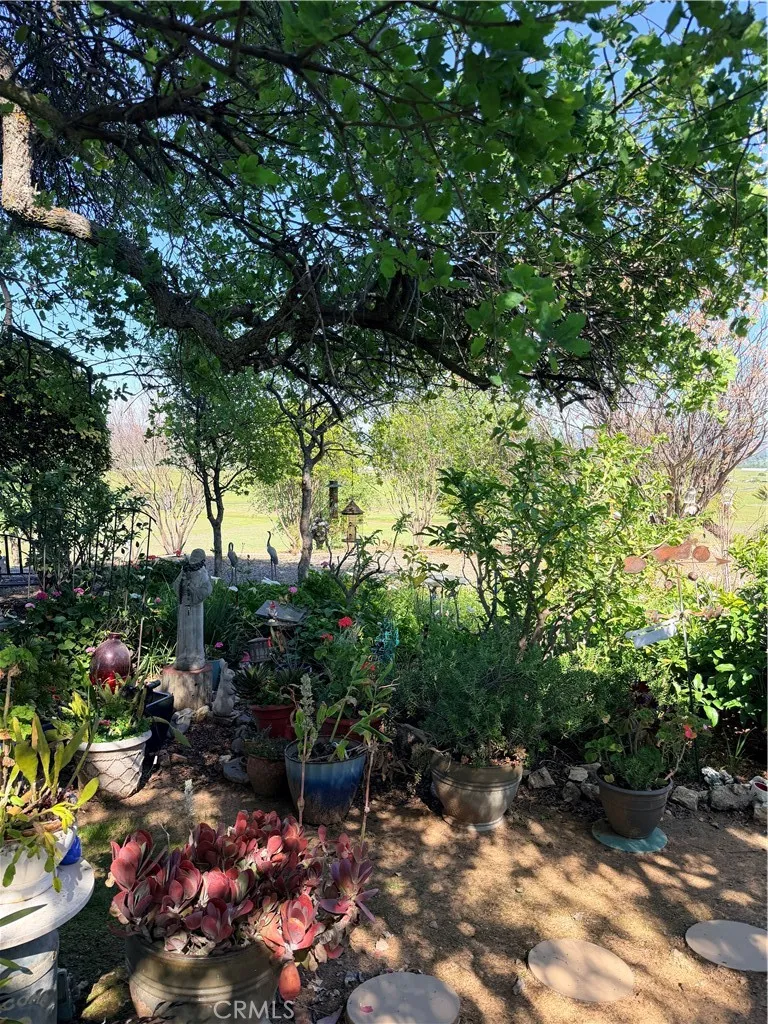 9556 Banderilla La Grange, CA 95329