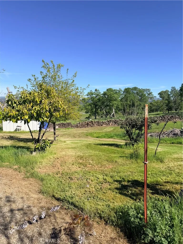 9556 Banderilla La Grange, CA 95329