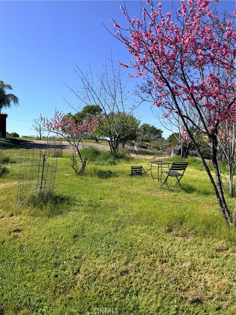9556 Banderilla La Grange, CA 95329