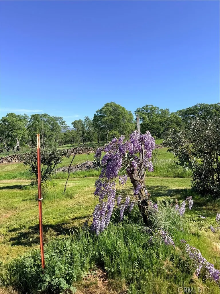 9556 Banderilla La Grange, CA 95329