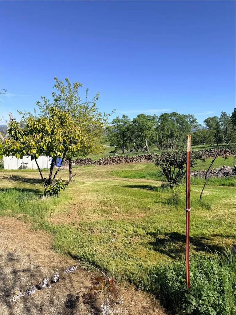 9556 Banderilla La Grange, CA 95329