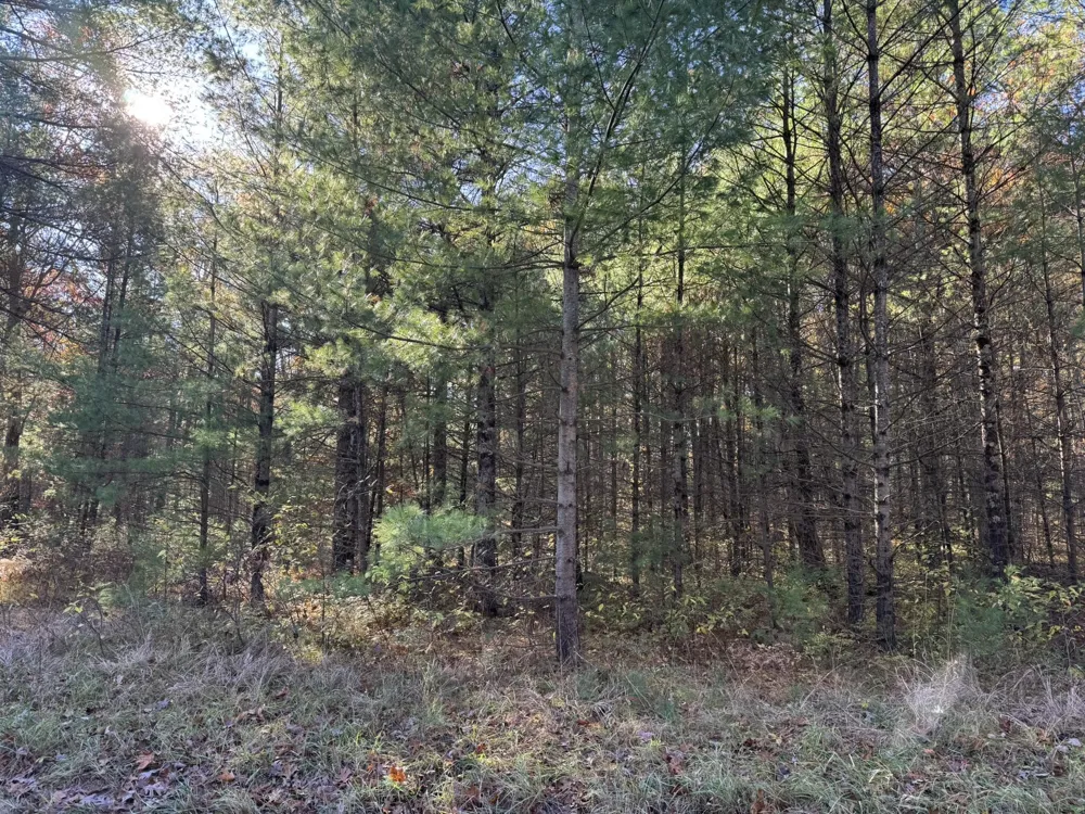 1 County Line Road Free Soil, MI 49411