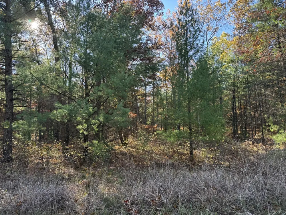 2 County Line Road Free Soil, MI 49411