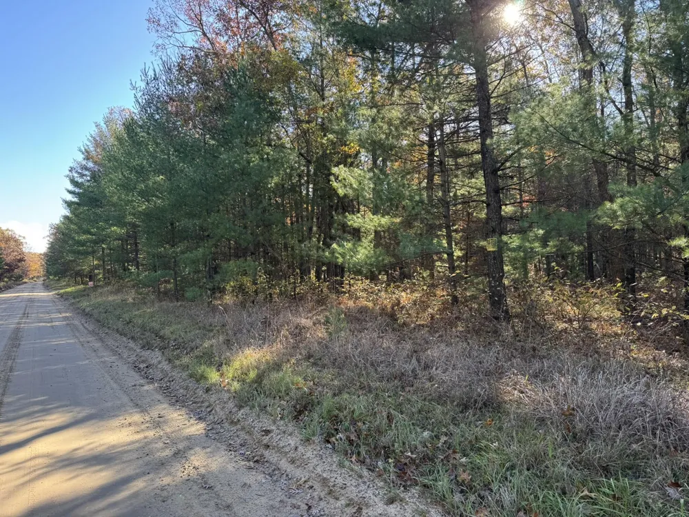 2 County Line Road Free Soil, MI 49411