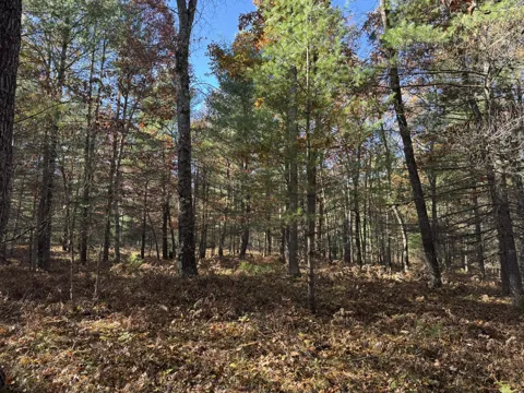 2 County Line Road