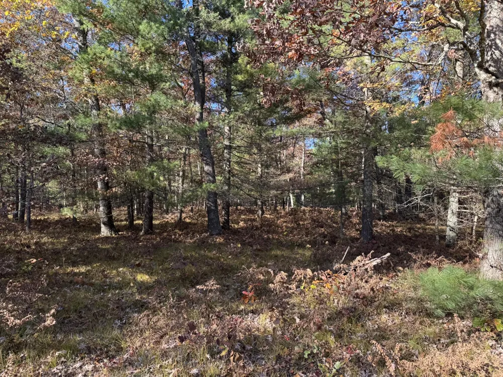 3 County Line Road Free Soil, MI 49411