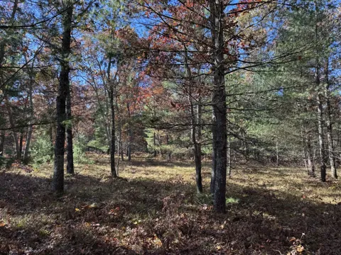 3 County Line Road
