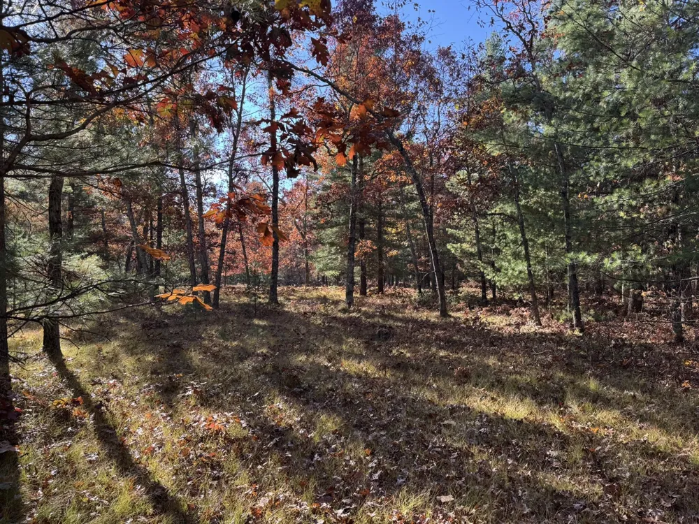 3 County Line Road Free Soil, MI 49411