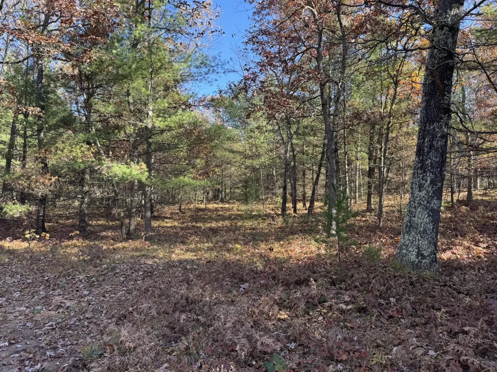 4 County Line Road Free Soil, MI 49411