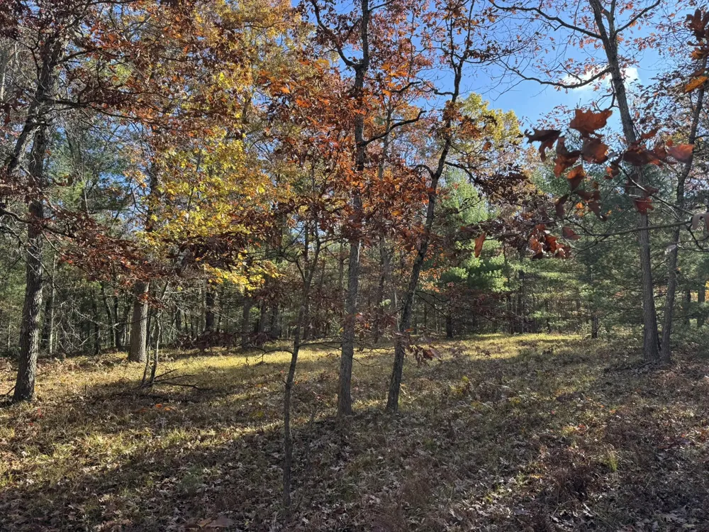 4 County Line Road Free Soil, MI 49411