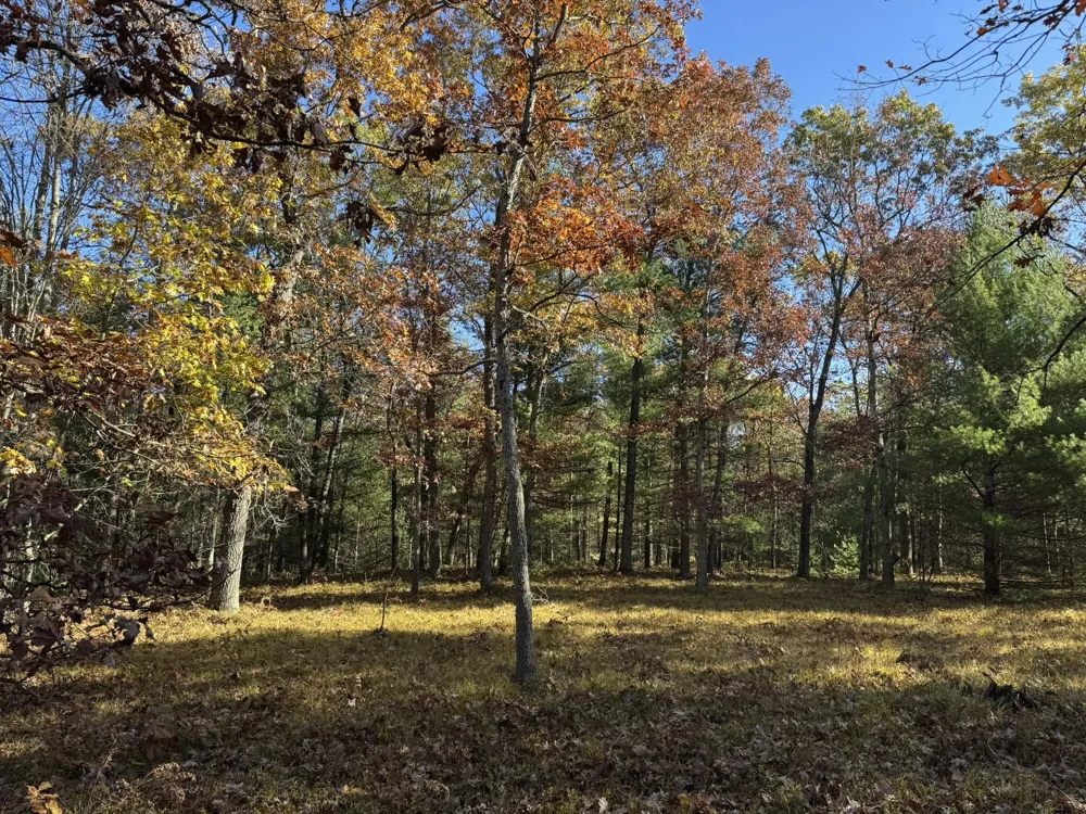 4 County Line Road Free Soil, MI 49411