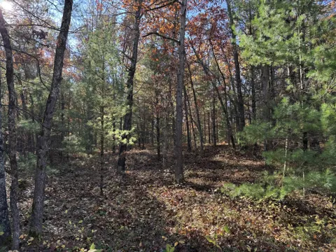 5 County Line Road