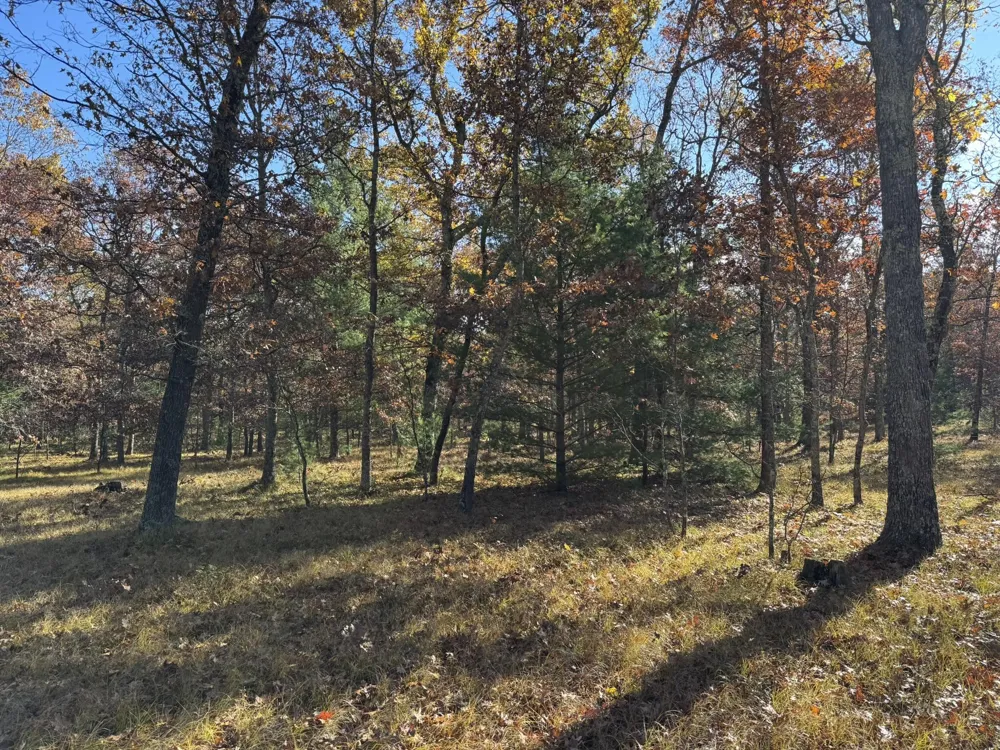 7 County Line Road Free Soil, MI 49411