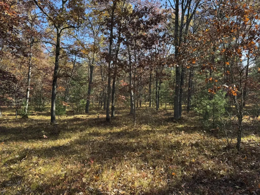 7 County Line Road Free Soil, MI 49411