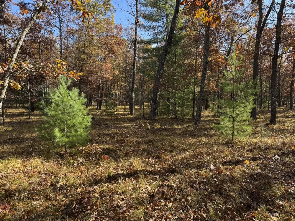 7 County Line Road Free Soil, MI 49411