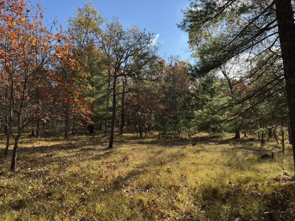8 County Line Road Free Soil, MI 49411