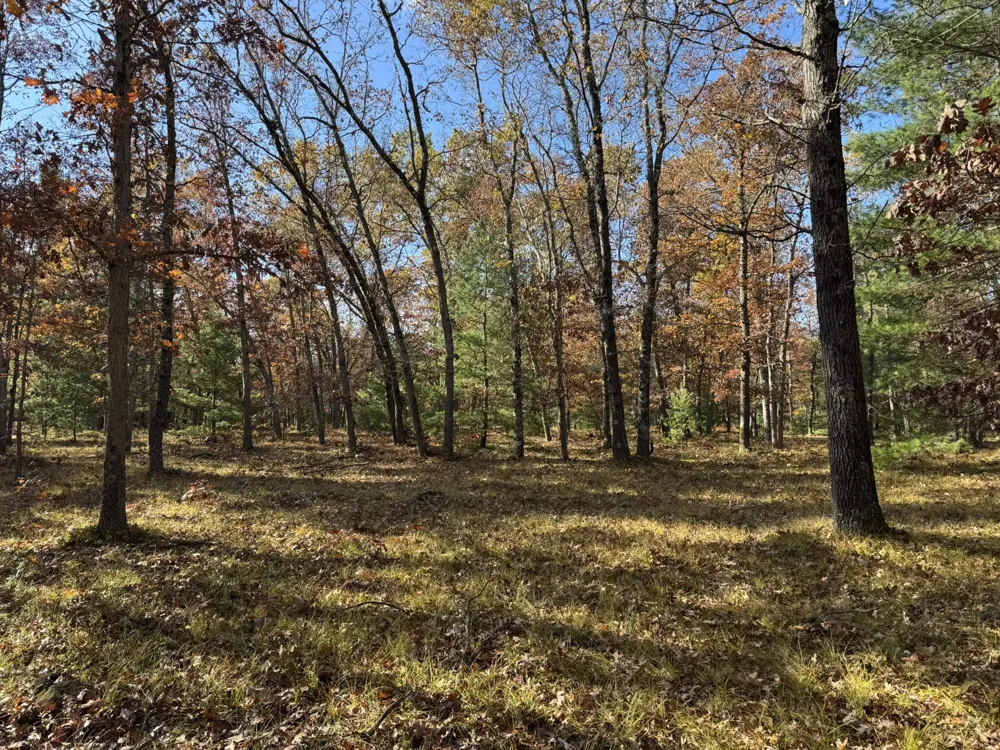 8 County Line Road Free Soil, MI 49411