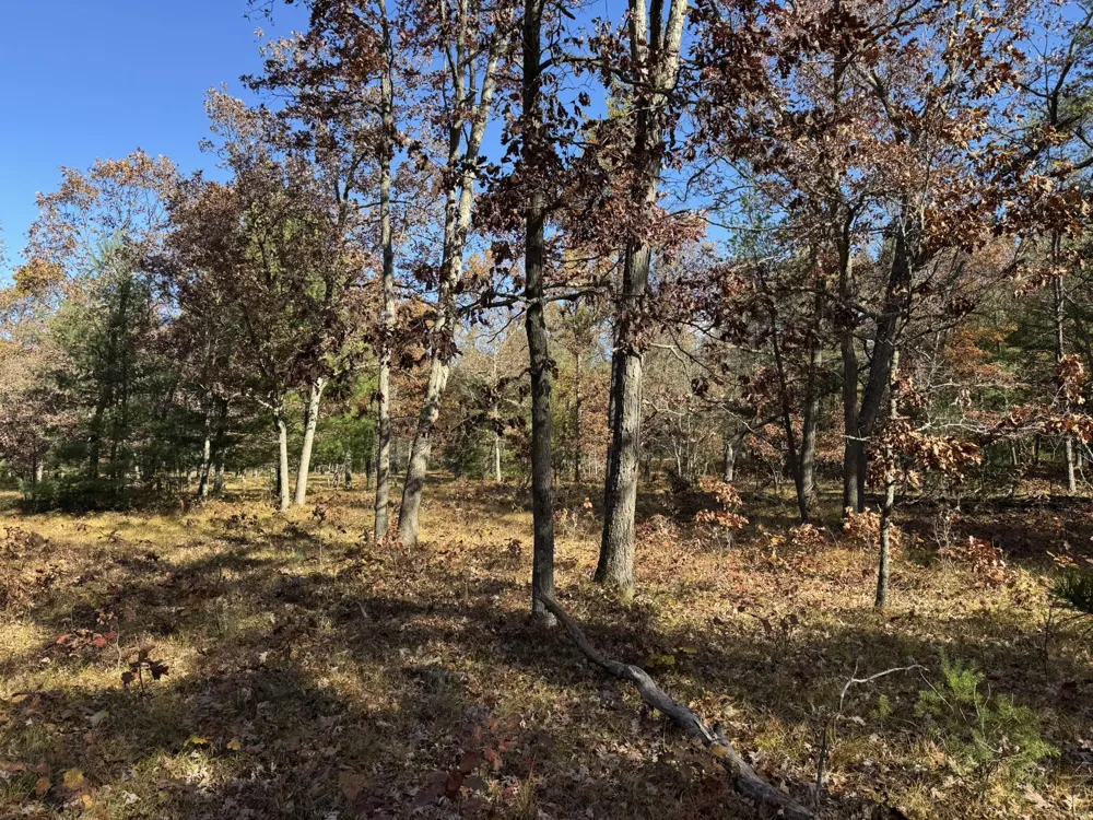 9 County Line Road Free Soil, MI 49411