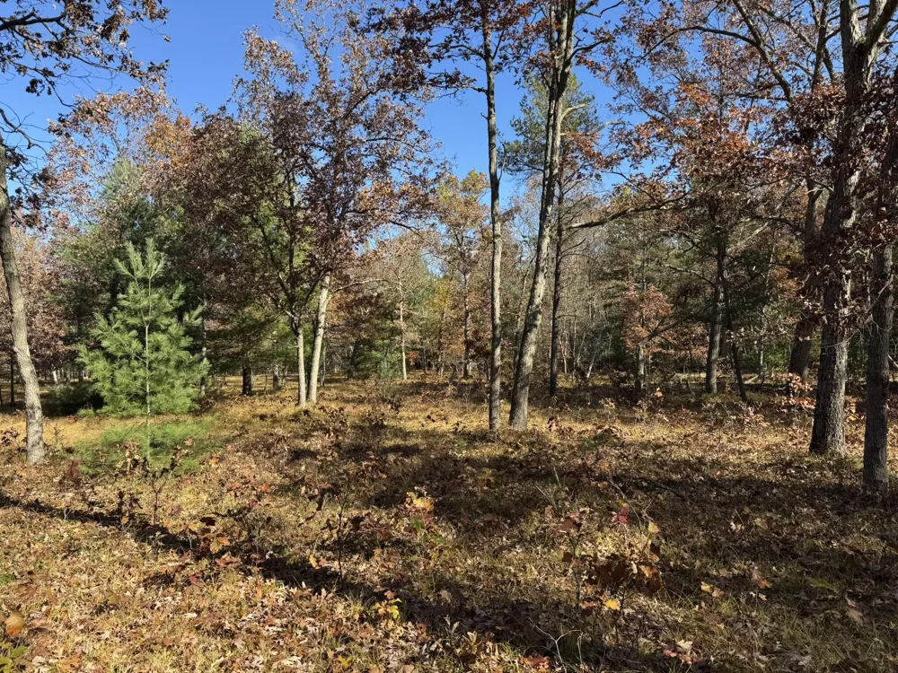 9 County Line Road Free Soil, MI 49411