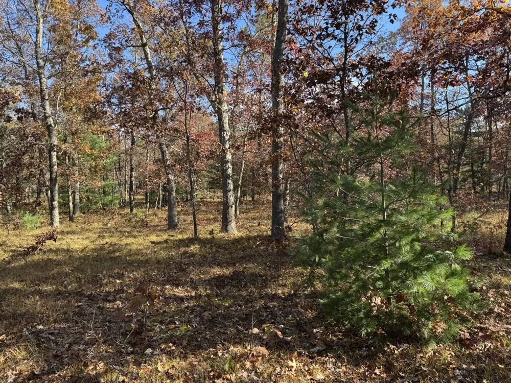 9 County Line Road Free Soil, MI 49411