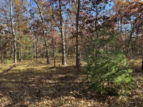 9 County Line Road