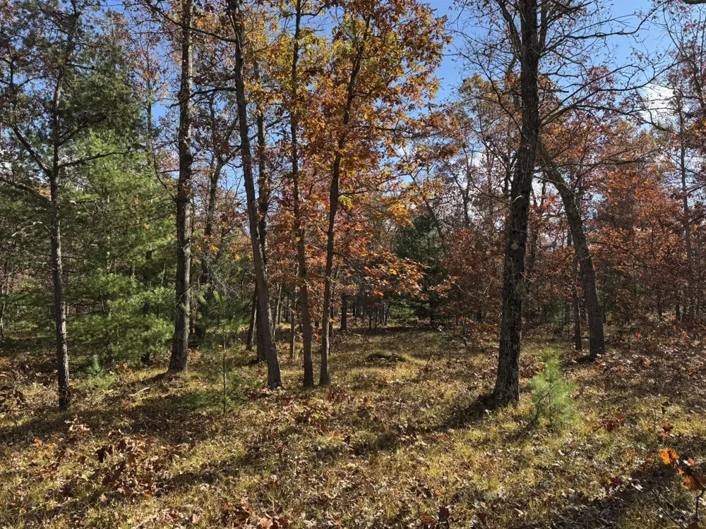 9 County Line Road Free Soil, MI 49411