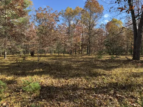11 County Line Road
